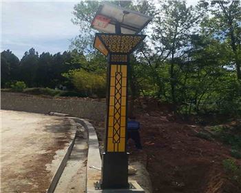 青海商洛洛南景村鎮太陽能景觀燈項目